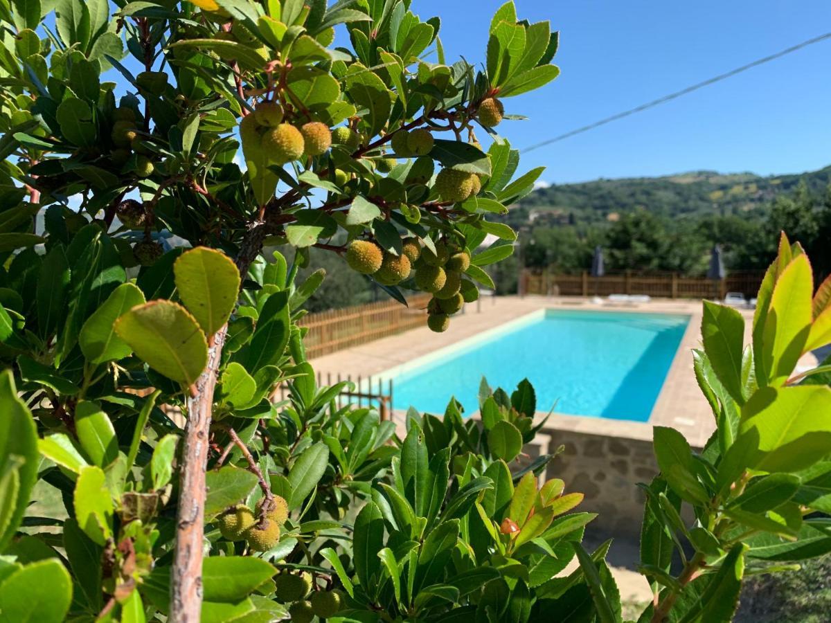 Farm stay La Palazzetta Di *