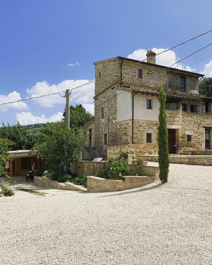 La Palazzetta Di