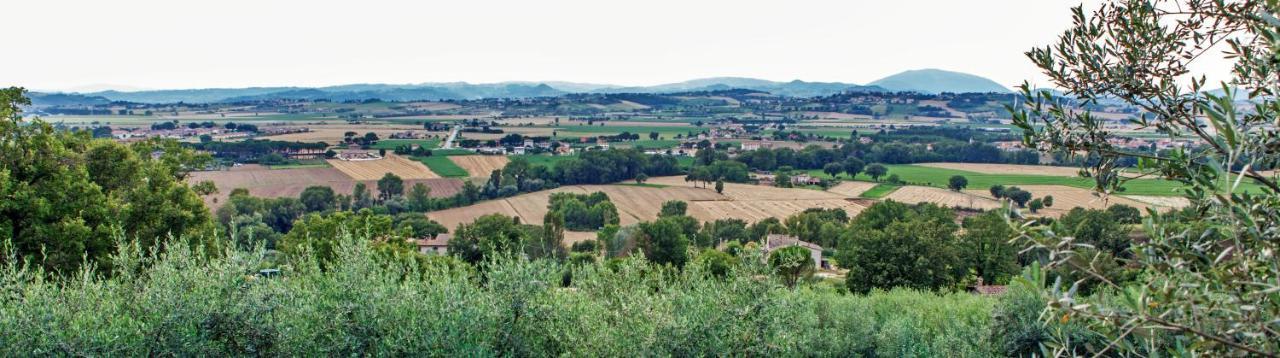 Farm stay La Palazzetta Di *