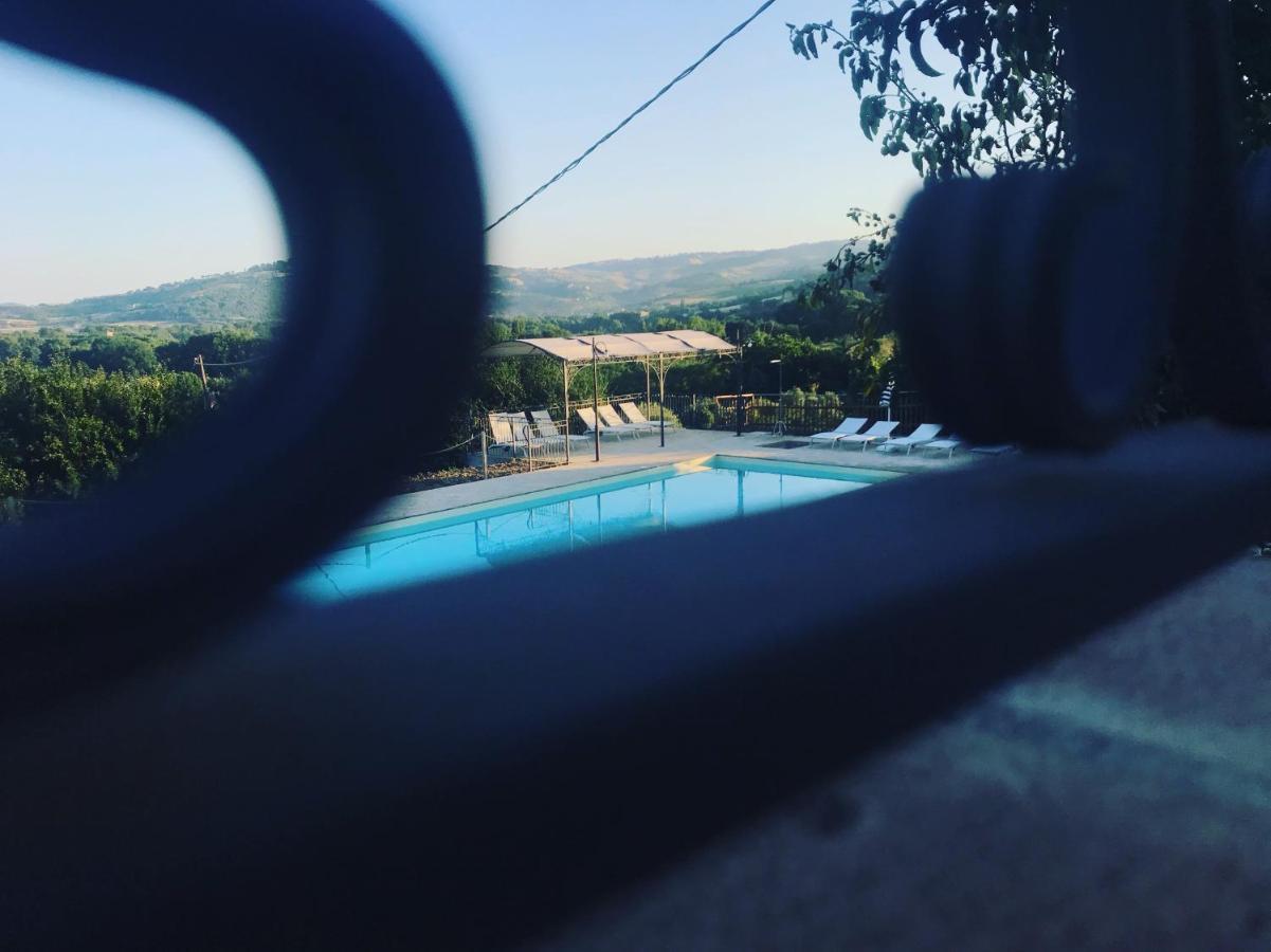 La Palazzetta Di Farm stay