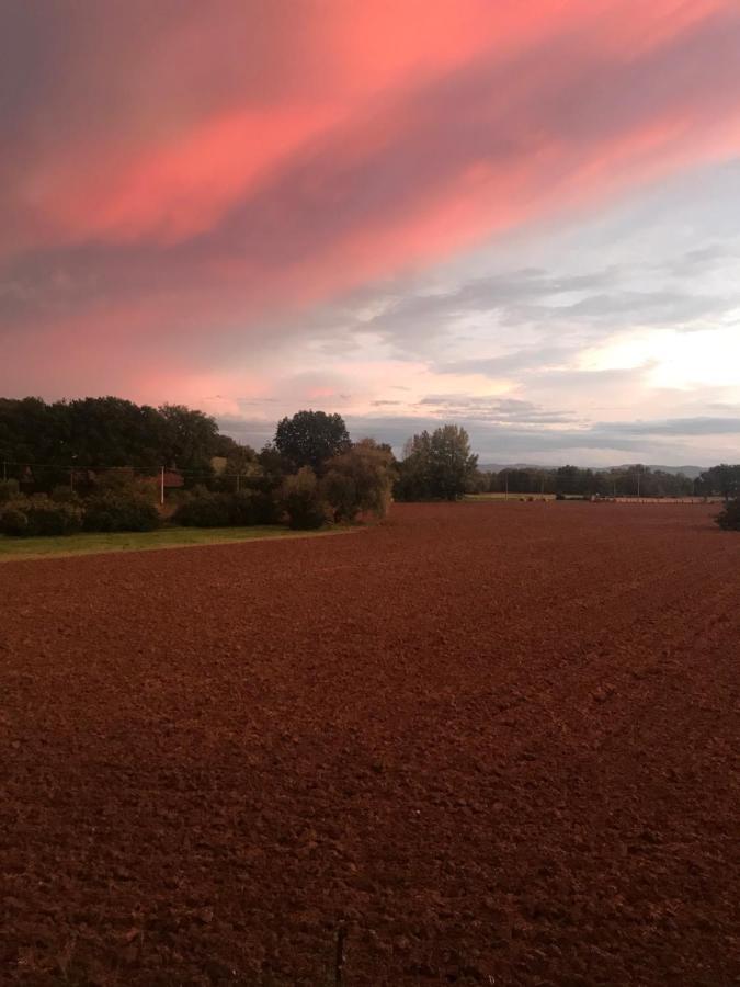 Farm stay La Palazzetta Di *